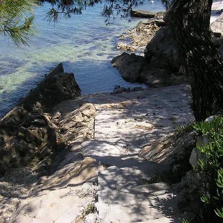 Апартаменты Viki