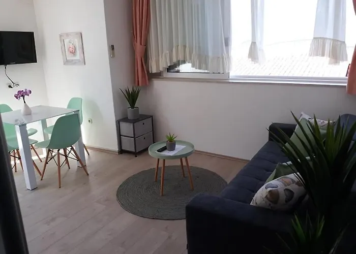 公寓 Viki 特罗吉尔