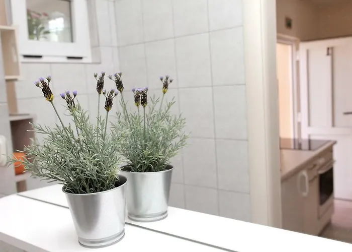 Viki 公寓 特罗吉尔