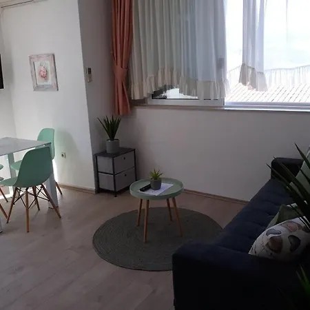 Apartament Viki *