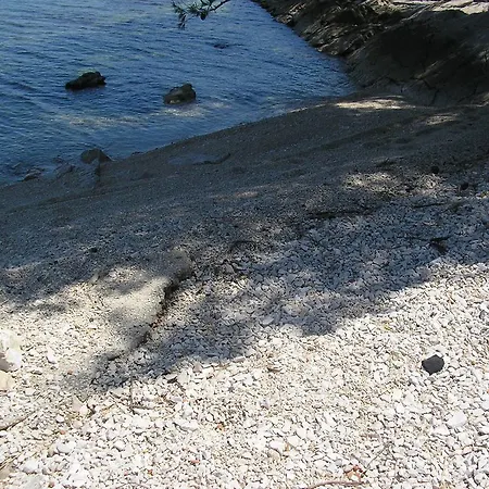 Viki Trogir