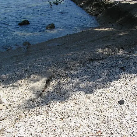 Viki Trogir
