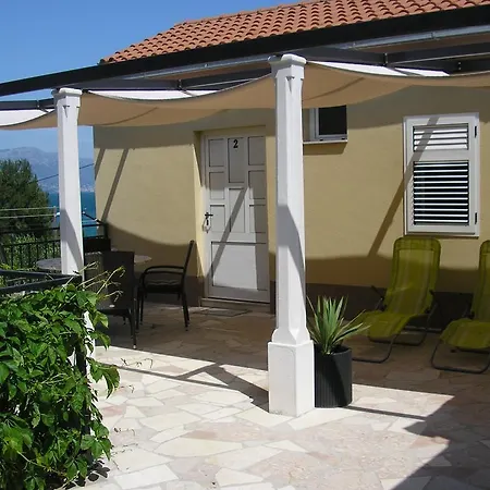 Viki Trogir