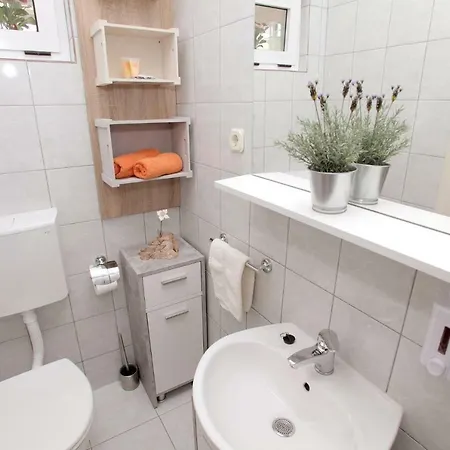 Viki Daire Trogir