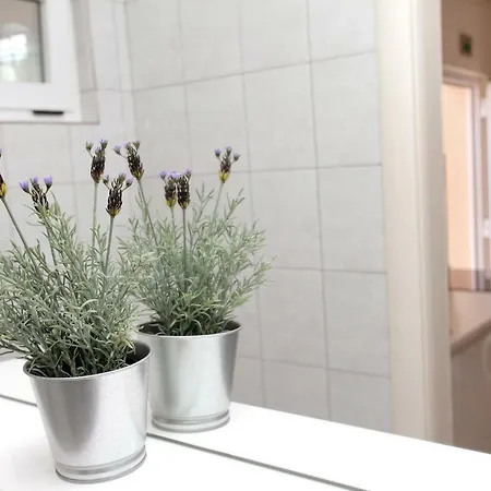 Viki Lägenhet Trogir