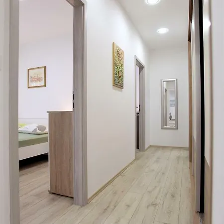 Apartment Viki
