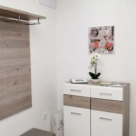 Apartment Viki *
